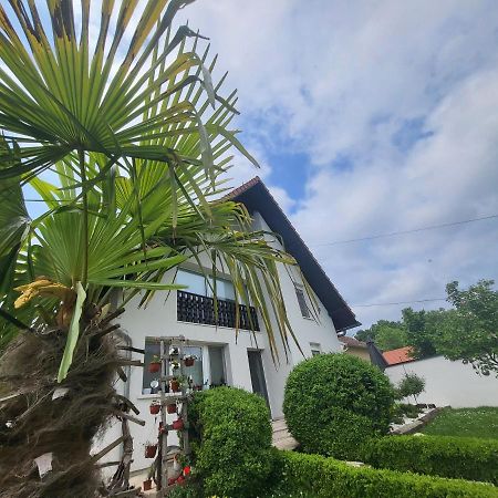 Vila Jovana Vrdnik Bagian luar foto