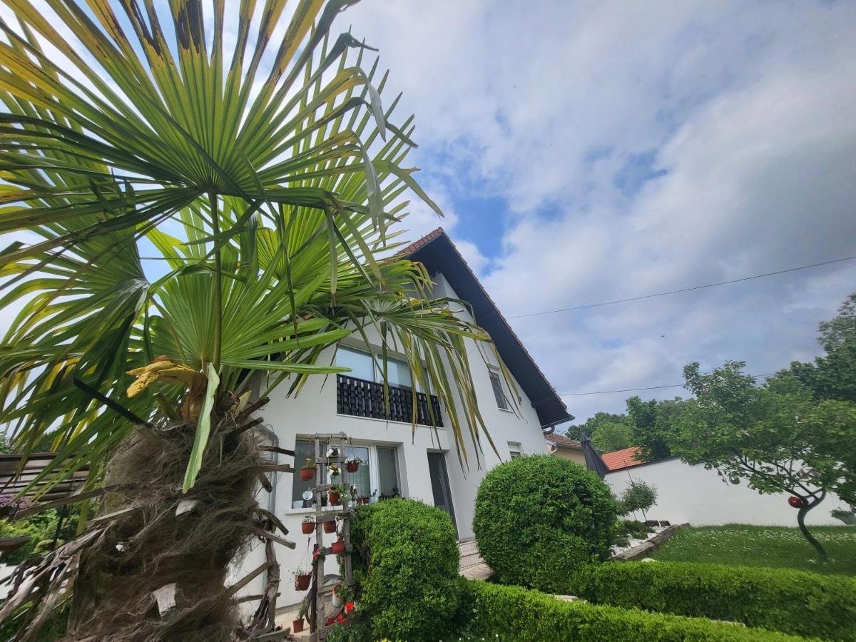 Vila Jovana Vrdnik Bagian luar foto