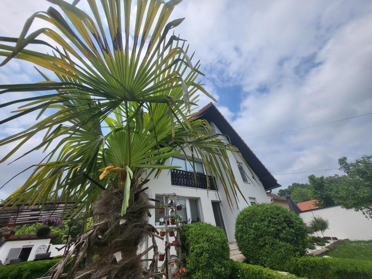 Vila Jovana Vrdnik Bagian luar foto
