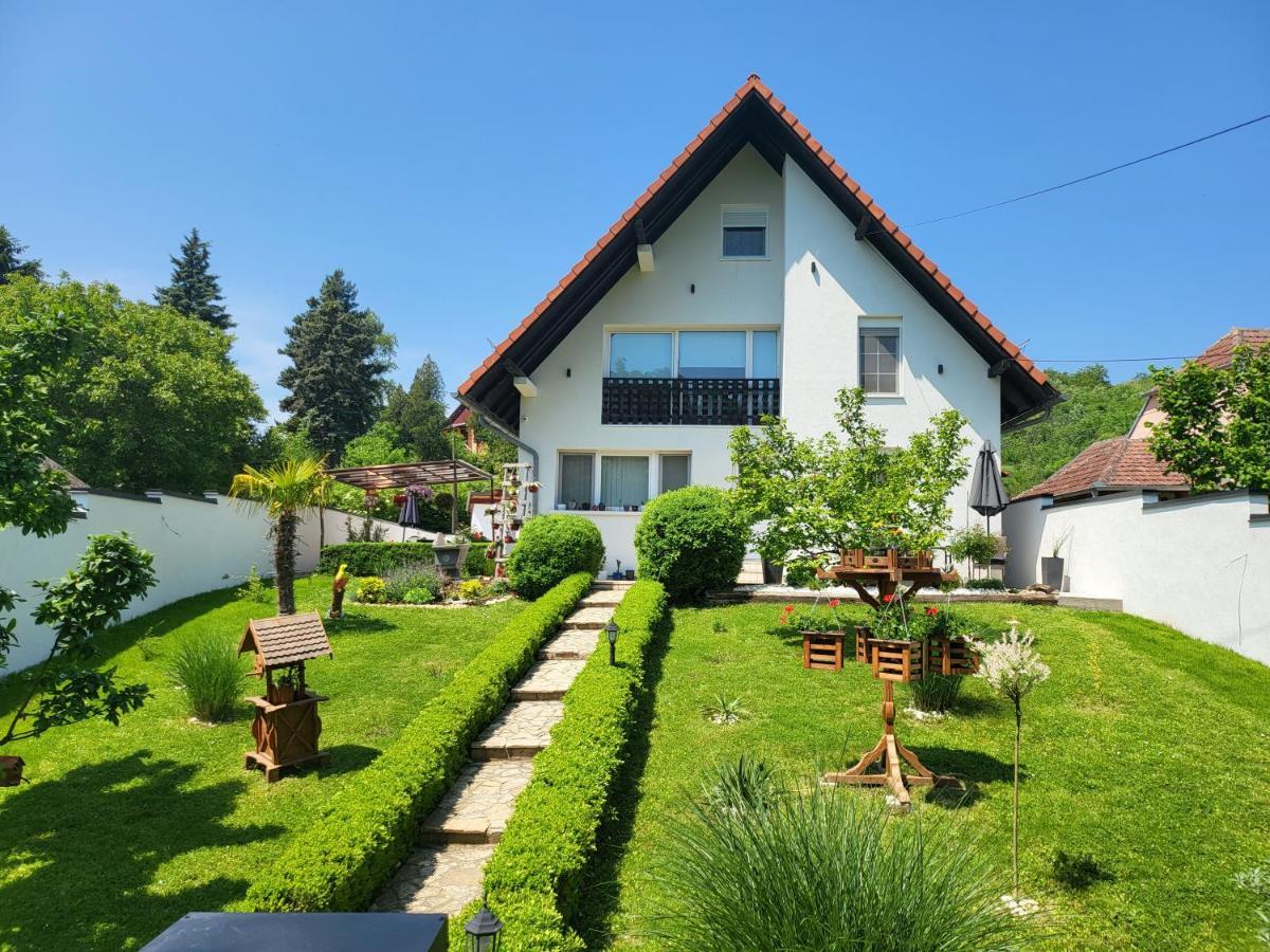 Vila Jovana Vrdnik Bagian luar foto