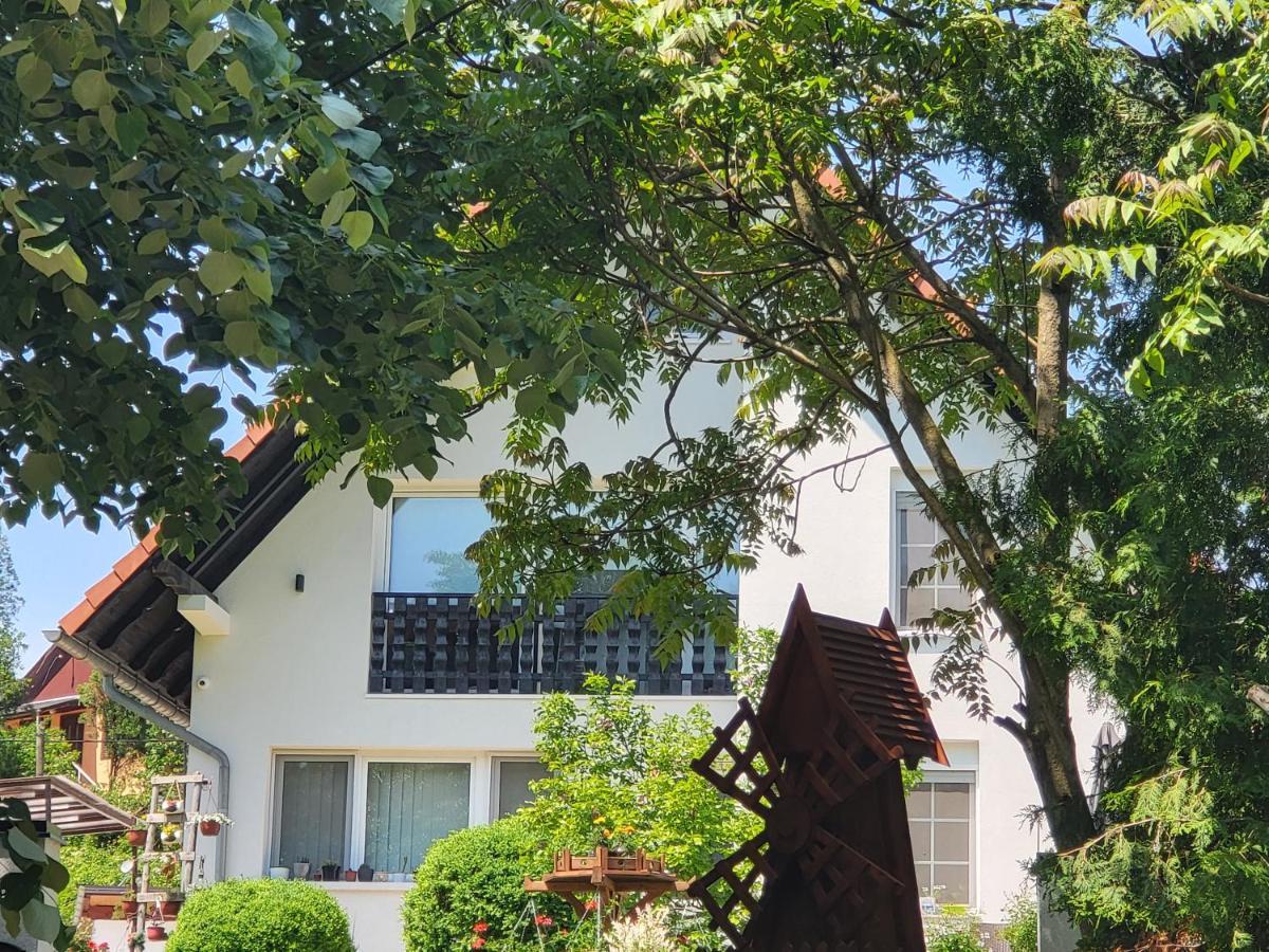 Vila Jovana Vrdnik Bagian luar foto