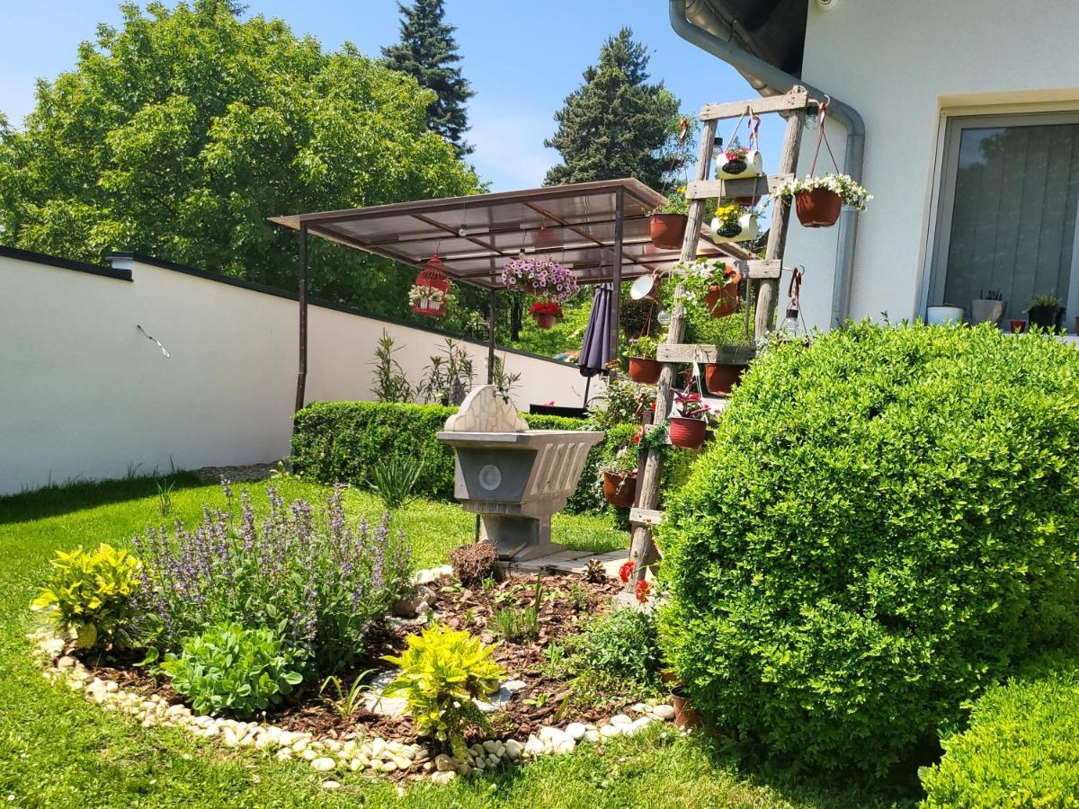 Vila Jovana Vrdnik Bagian luar foto
