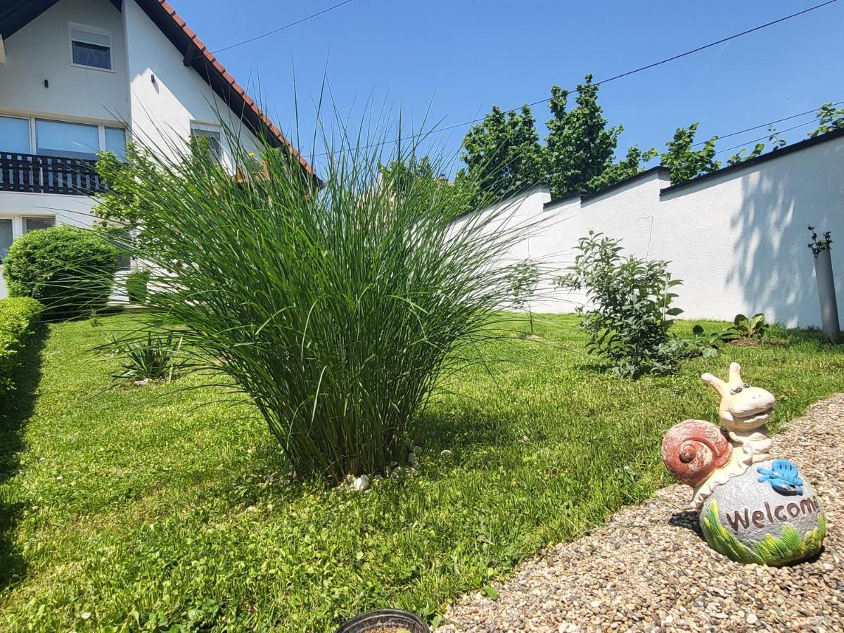 Vila Jovana Vrdnik Bagian luar foto