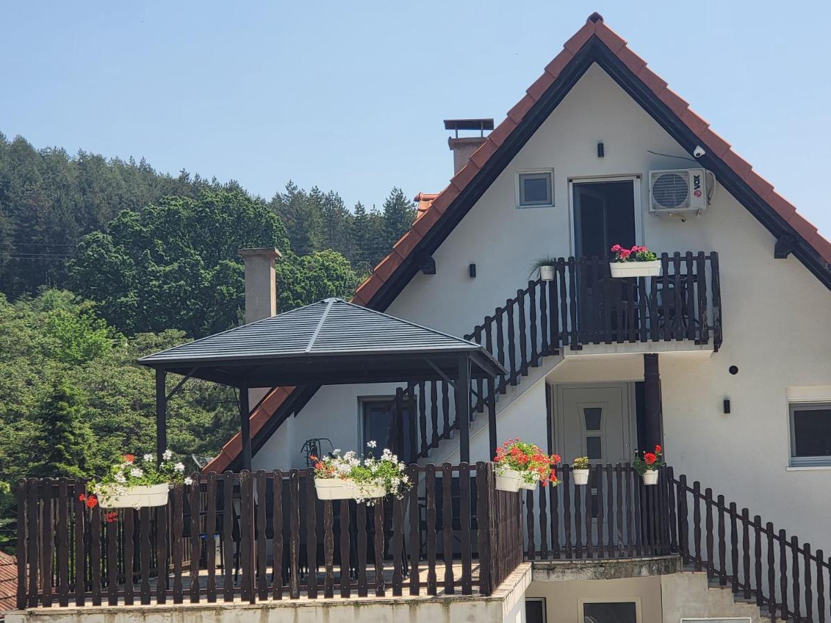 Vila Jovana Vrdnik Bagian luar foto