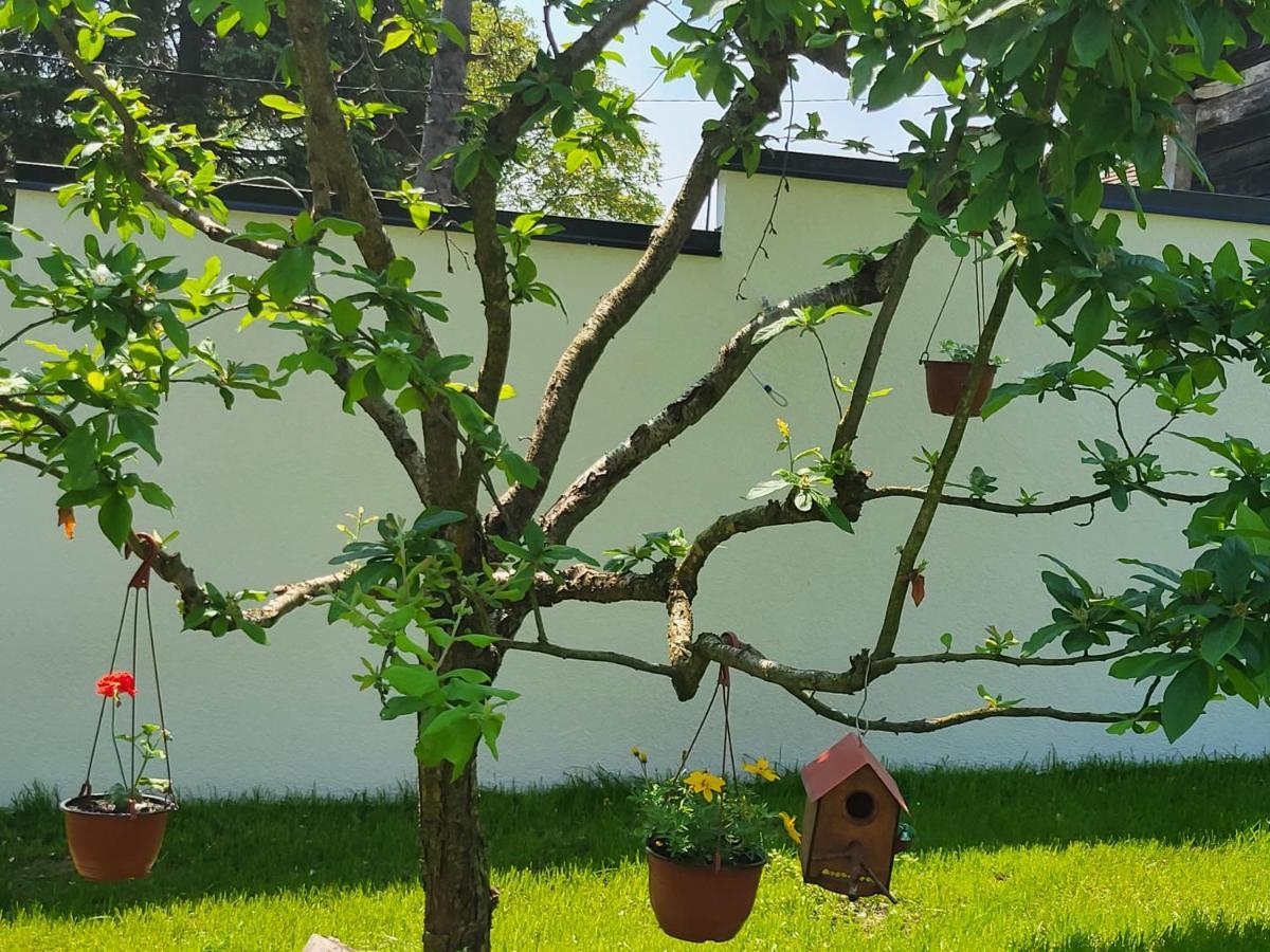 Vila Jovana Vrdnik Bagian luar foto