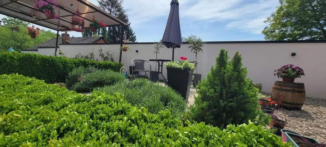 Vila Jovana Vrdnik Bagian luar foto