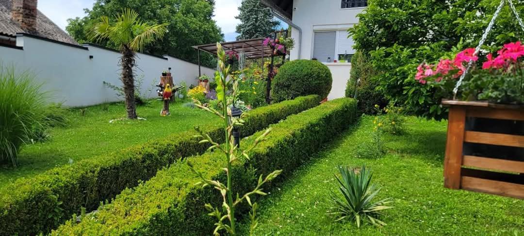 Vila Jovana Vrdnik Bagian luar foto