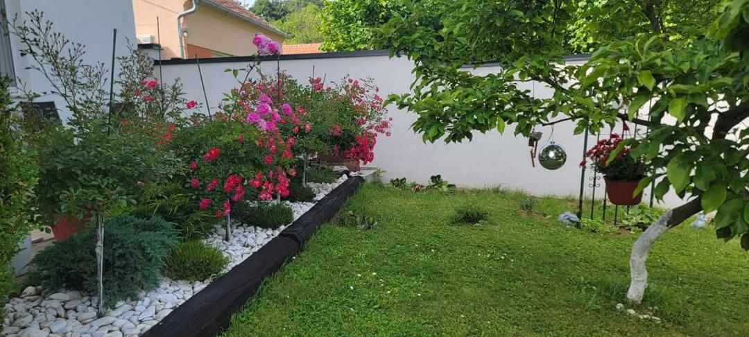 Vila Jovana Vrdnik Bagian luar foto