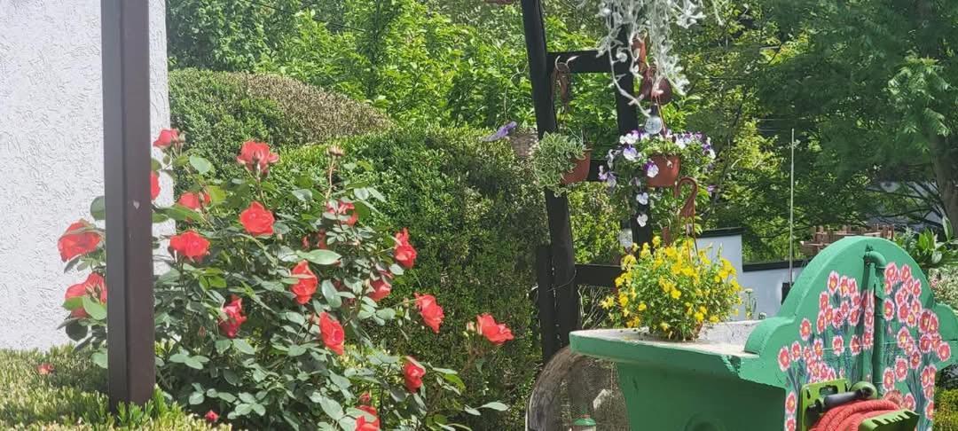 Vila Jovana Vrdnik Bagian luar foto